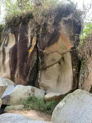 a rock wall with plants growing on top of it at HOSPEDAJE MARIN in Concepción