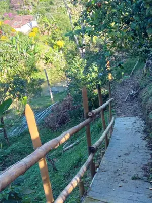 a wooden fence next to a path in a garden at HOSPEDAJE MARIN in Concepción