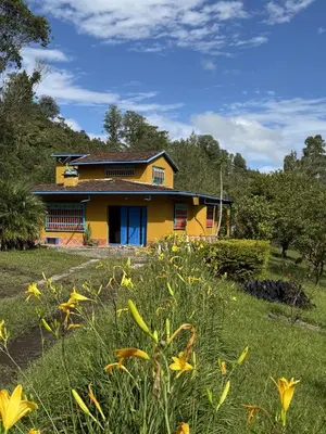 a yellow house in a field with yellow flowers at La Escondida, con acceso al lago in Guatapé