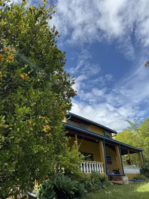 a yellow house with an orange tree at La Escondida, con acceso al lago in Guatapé