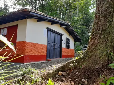 a small house with a door next to a tree at Cabaña & glamping para grupos de 4 a 6 personas, cerca al parque y con avistamiento de aves in Jardin