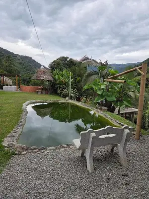 a stone bench sitting in front of a small pond at Apartamento campestre para pareja en Manizales in Manizales