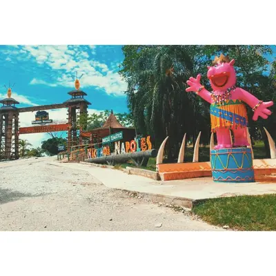 a statue of a pig on the side of a street at Posada Campestre en Doradal in Puerto Triunfo