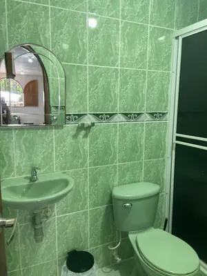 a green bathroom with a toilet and a sink at La torrecita in Barbosa