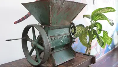 a green cart sitting on top of a table with a plant at Ayenda Mountain Hostels Manizales in Manizales