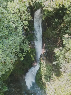 an aerial view of a waterfall in a forest at Reserva Wanaka, San Carlos in Cocorná