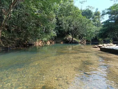 a river with clear water and trees in the background at La ceiba casa campestre in Sonsón