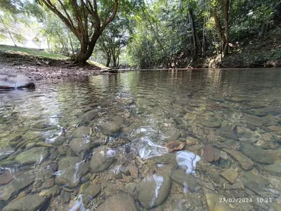 a river with some rocks in the water at La ceiba casa campestre in Sonsón