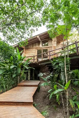 a wooden walkway leading to a tree house at Hotel Boutique Maitta en Doradal Antioquia in Doradal