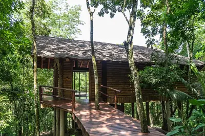 a tree house in the middle of the forest at Hotel Boutique Maitta en Doradal Antioquia in Doradal