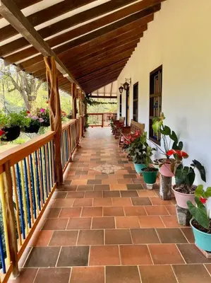 a porch with potted plants and a wooden walkway at Finca Sierra Luz in Jericó