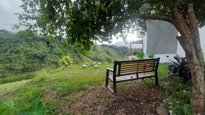 a park bench sitting under a tree on a hill at AZAHARES HOTEL Y CAFÉ in Manizales