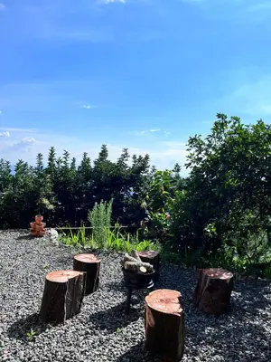 a group of logs and a grill in a yard at Zioru cabaña in Belalcázar