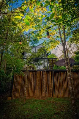 a wooden gate in front of a house with trees at Silvery Bungalows en el Bosque in San Carlos