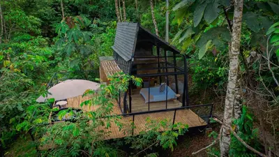 an overhead view of a tree house in the forest at Silvery Bungalows en el Bosque in San Carlos