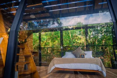a bedroom in a tree house with a large window at Silvery Bungalows en el Bosque in San Carlos