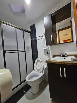 a bathroom with a toilet and a sink at HOTEL MONTERREY in Ruiosucio
