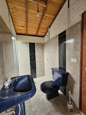 a bathroom with a blue sink and a toilet at Cabaña Los Colibríes in San Rafael