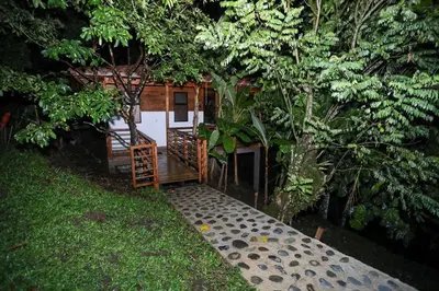 a backyard with a house with a walkway and trees at Eco Hotel La Italia- Hotel Venecia, Antioquia in Venecia