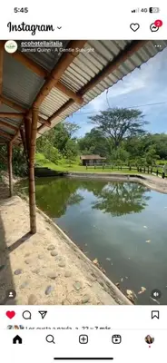 a picture of a pool of water in a park at Eco Hotel La Italia- Hotel Venecia, Antioquia in Venecia