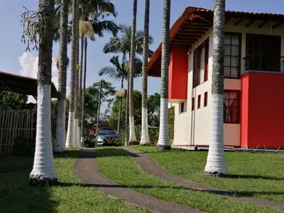 a row of palm trees in front of a house at Finca villa carolina, eje cafetero in La Floresta
