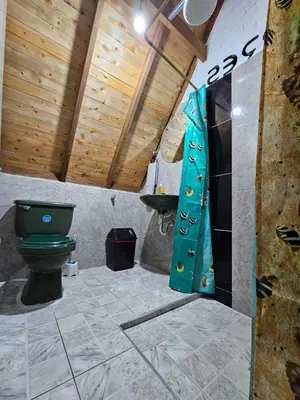 a bathroom with a green toilet and a sink at Chalet Los Sinsontes in San Rafael