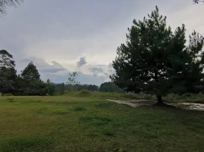 a tree in the middle of a grass field at Hermosa finca a 5 minutos aeropuerto in Guarne