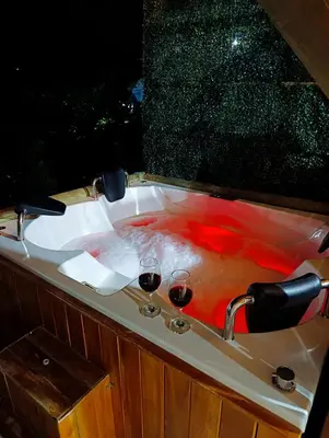 two glasses of red wine in a bath tub at El mirador de San Joaquin in San Luis