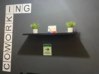 a shelf with three potted plants on a wall at hostal casa prado in in Medellín