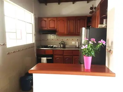 a kitchen with wooden cabinets and a vase with flowers on a counter at Casa zona Laureles in Medellín