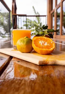 a cutting board with oranges and a cup of orange juice at Finca La Arabia Jardín in Jardin