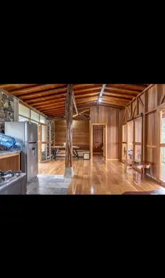 a large room with a tree in the middle of it at Finca La Arabia Jardín in Jardin