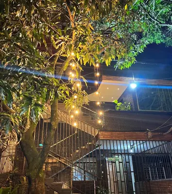 a string of lights hanging from a tree at LUXURY PALACE POBLADO MANILA in El Poblado
