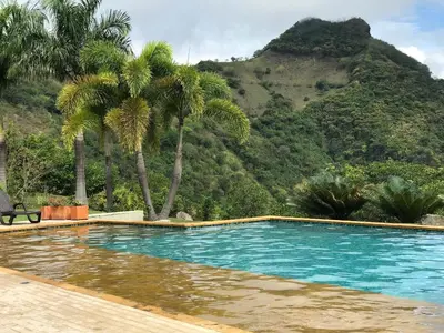 a swimming pool with palm trees in front of a mountain at Finca Los Polines en Tarso in Tarso
