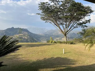 a field with a tree and mountains in the background at Finca Los Polines en Tarso in Tarso