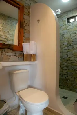 a bathroom with a toilet and a stone wall at loft grupo y parejas AZUCENAS in Jardin