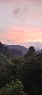 a view of a field with trees and a sunset at Casa familiar vacacional in Jardin