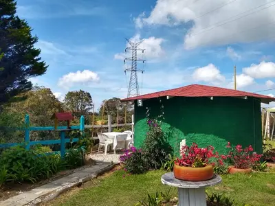 a garden with a green wall and a table with flowers at Hospedaje Santaelena -chalets de montaña- in Santa Elena