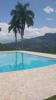 a swimming pool with a palm tree in the background at Finca Villa Maria in La Pintada