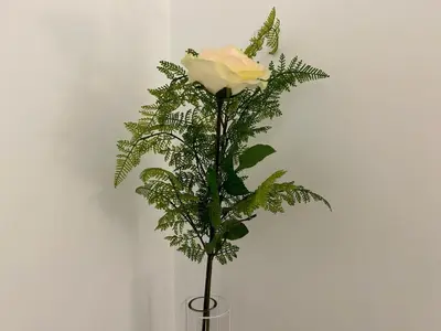 a white rose in a vase with leaves at Apartamento Manizales II in Manizales