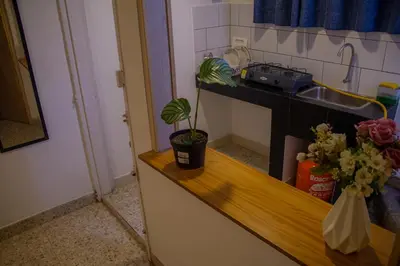 a kitchen counter with a potted plant and a sink at La Familia Hostel - Manila in Medellín