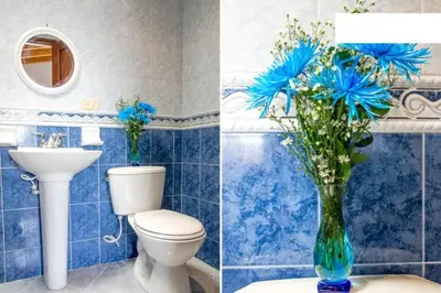 a bathroom with a toilet and a vase with blue flowers at Mayorca Homestay in Medellín