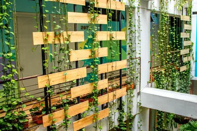 a wooden fence with ivy on the side of a building at Hotel Natural Medellin in Medellín