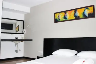 a bedroom with a bed and a sink in it at Hotel Natural Medellin in Medellín