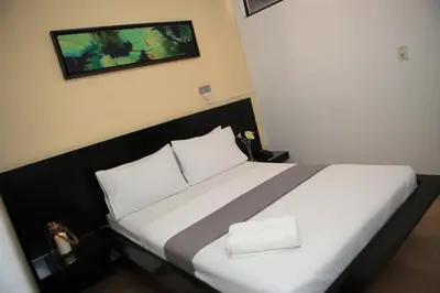 a bedroom with a large white bed with two pillows at Hotel Natural Medellin in Medellín