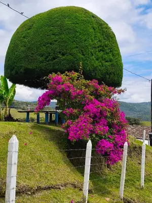 Gallery image of Glamping Samadhi - el Peñol in El Peñol