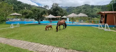 a horse and a baby horse grazing in the grass at Cabaña rodeada de naturaleza in Cocorná