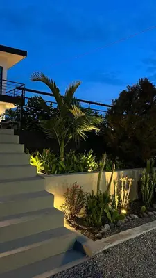 a set of stairs in a garden at night at Hotel Villa Del Sol in Marquetalia