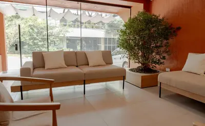 a living room with a couch and a potted plant at Leviu by Bernalo Hotels in Medellín