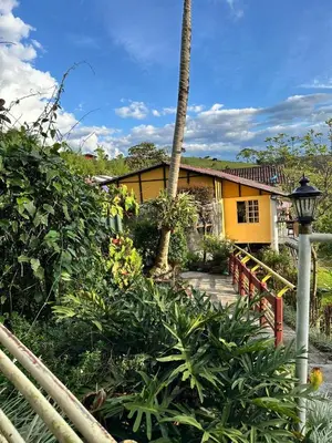 a yellow house with a fence and some plants at El Refugio del Colibrí in Santa Rosa de Cabal